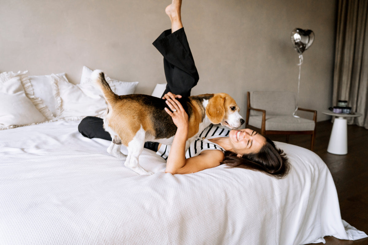 Präbiotika und Probiotika für Hunde einfach erklärt