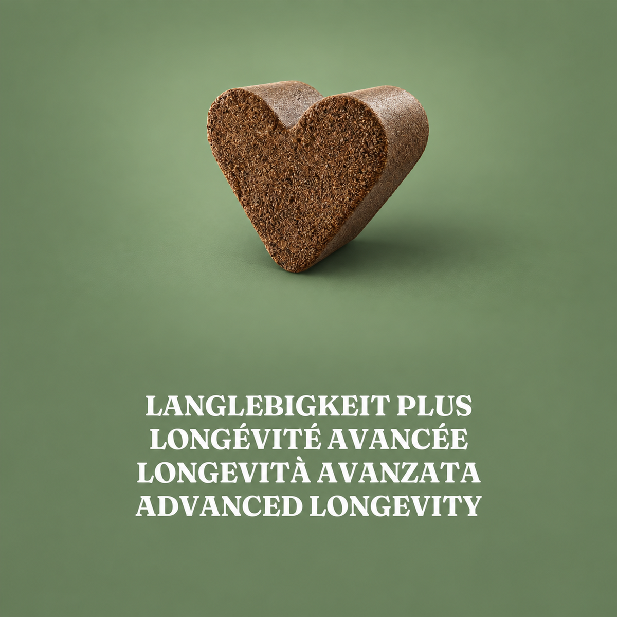 Langlebigkeit Plus