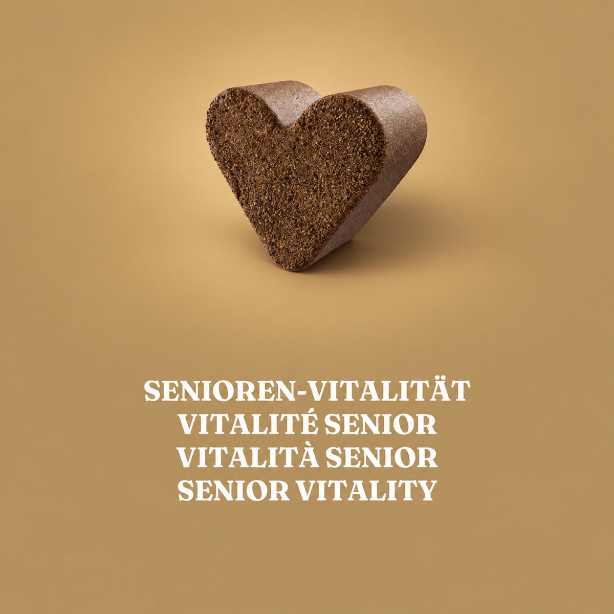 Senioren-Vitalität