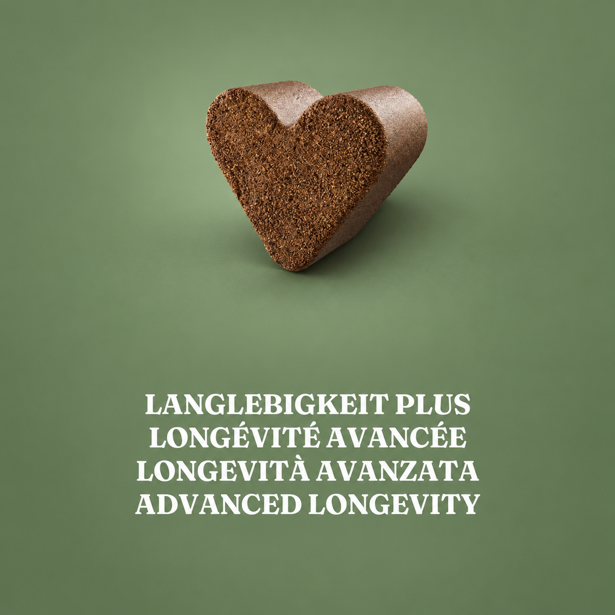 Langlebigkeit Plus