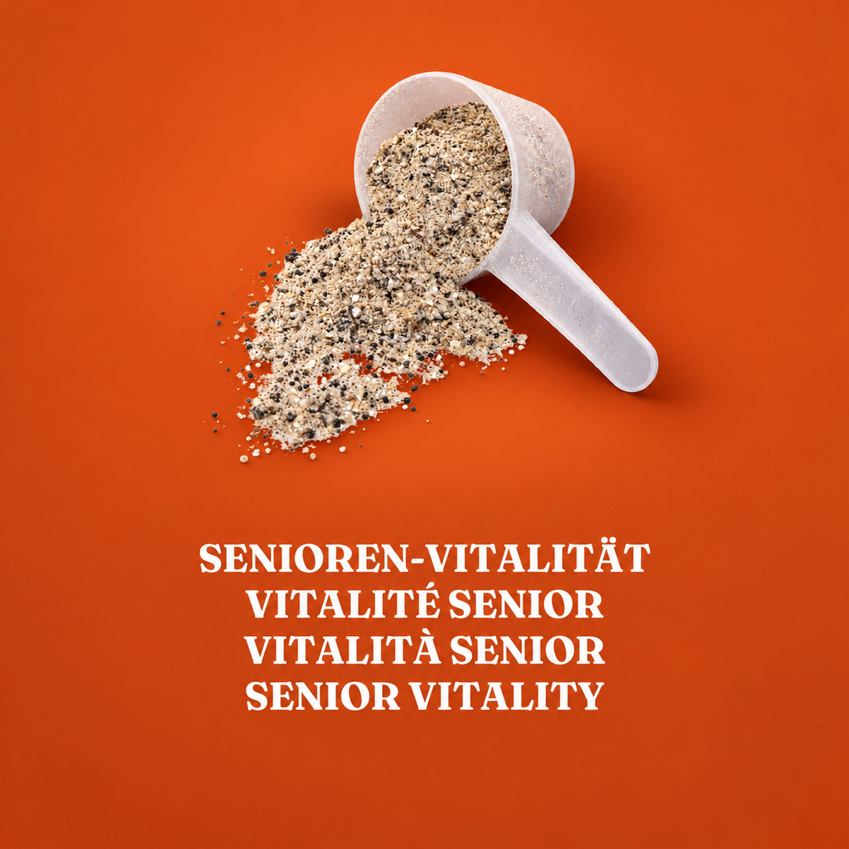 Senioren-Vitalität