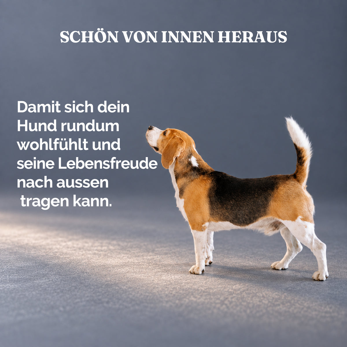 Haut & Fell